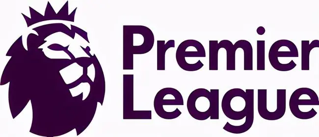 An informational look at what the English Premier League is?